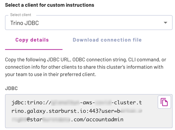 Connection info display for jdbc