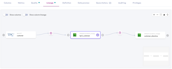 view of the lineage graphdata-